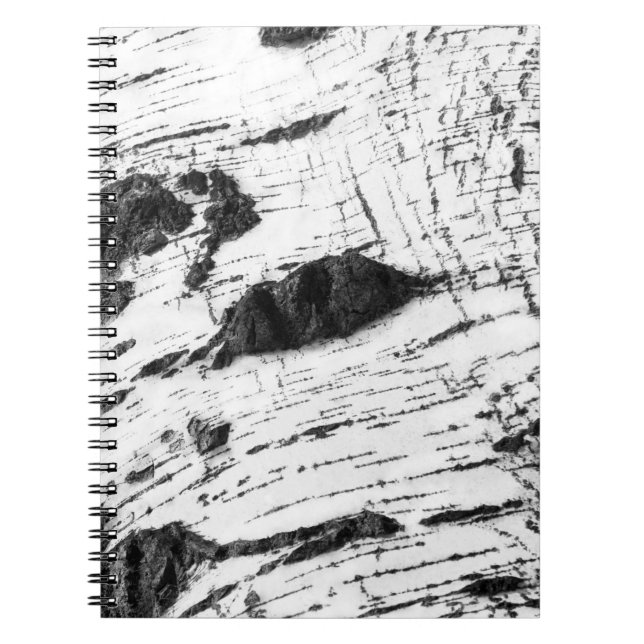 Carnet Motif d'écorce de bouleau (Devant)