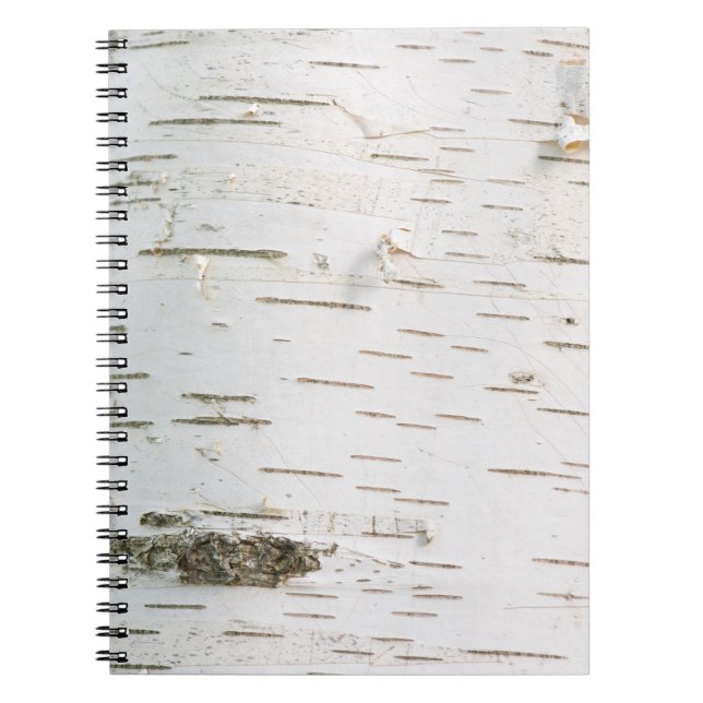 Carnet Motif d'écorce de bouleau (Devant)