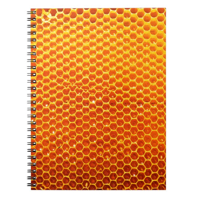 Carnet Motif d'une section de peigne de cire provenant d' (Devant)