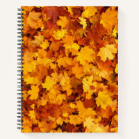 Motif Feuille d'Érable-25877