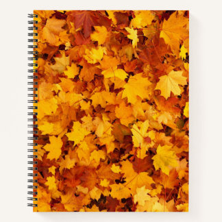 Carnet Motif Feuille d'Érable-25877