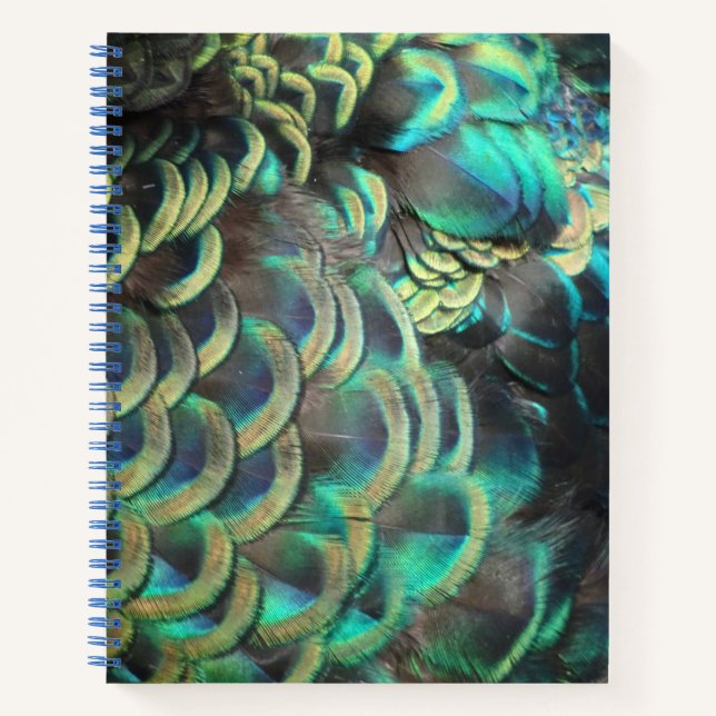 Carnet Motif indonésien Peacock Feathers (Devant)