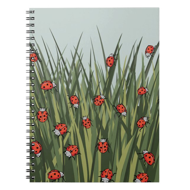 Carnet Motif ladybug (Devant)