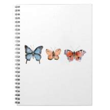 Motif papillon