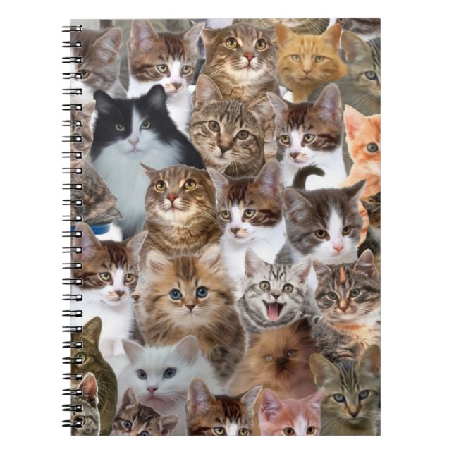 Carnet Motif Visages de chat (Devant)