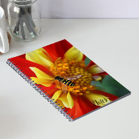 Mouche volante sur Dahlia orange et jaune