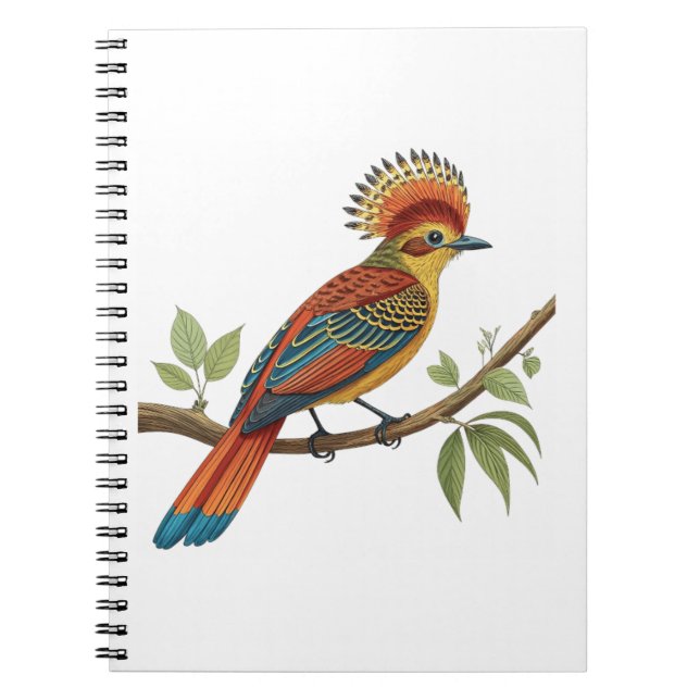 Carnet Moucherolle royal amazonien (Devant)