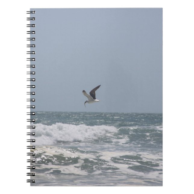 Carnet Mouette (Devant)