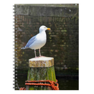 Carnet Mouette
