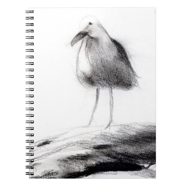 Carnet Mouette 2012 de la Californie (Devant)