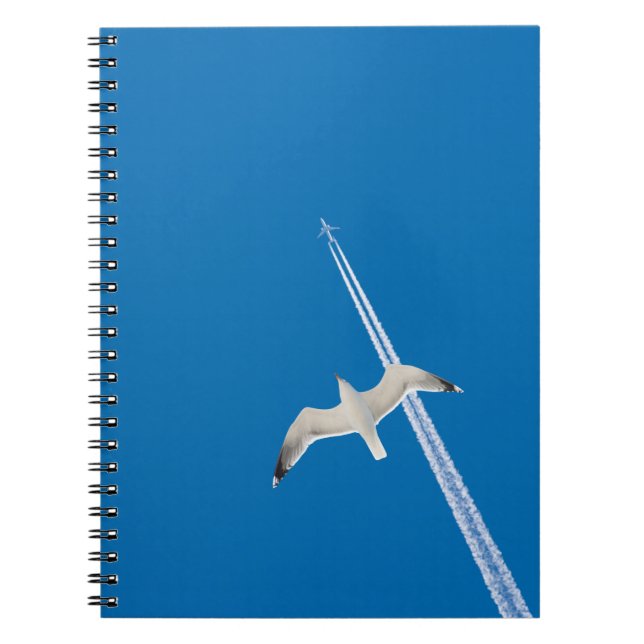 Carnet Mouette et avion (Devant)