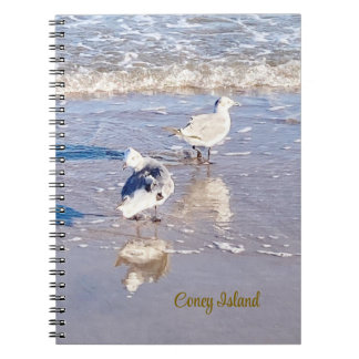 Carnet Mouettes de Coney Island
