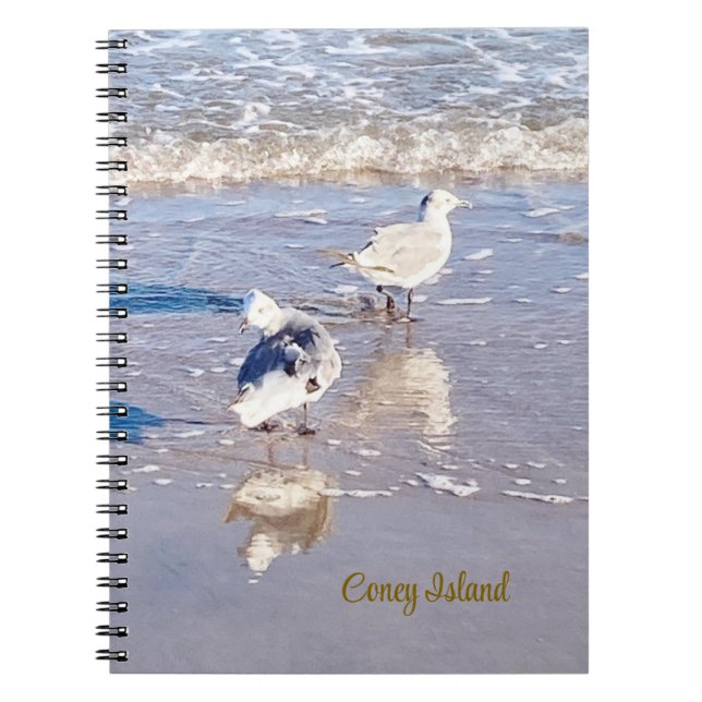 Carnet Mouettes de Coney Island  (Devant)