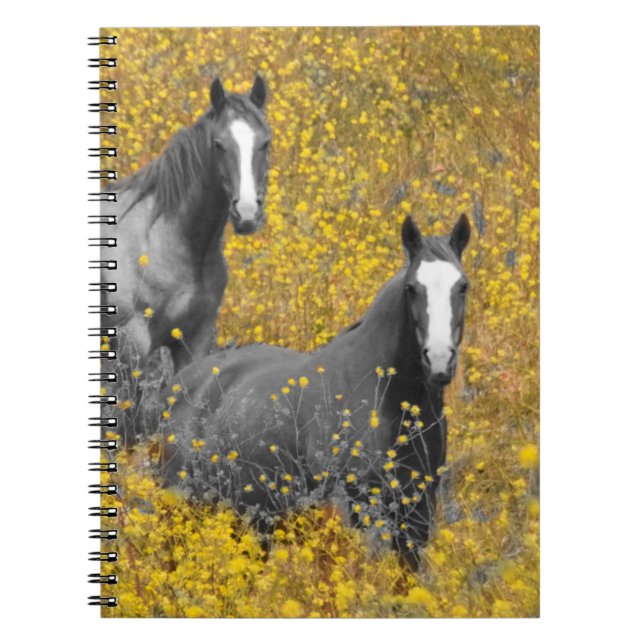 Carnet Moutarde et chevaux (Devant)
