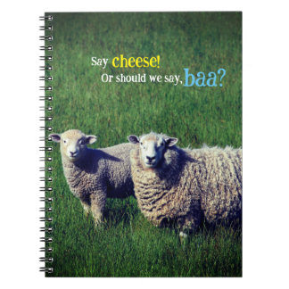 Carnet Mouton avec agneau dans la prairie