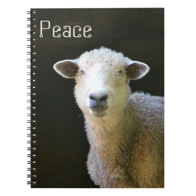 Carnet Mouton pacifique (Devant)