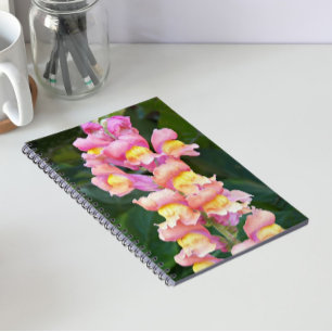 Carnet Mufliers roses et jaunes Floral