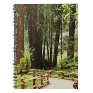 Carnet Muir Woods Chemin I Nature Photographie