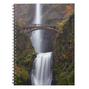 Carnet Multnomah tombe en défunt automne