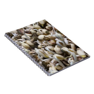 Carnet Mung Les Haricots