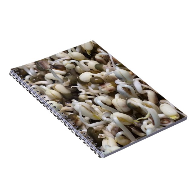 Carnet Mung Les Haricots (Côté Droit)