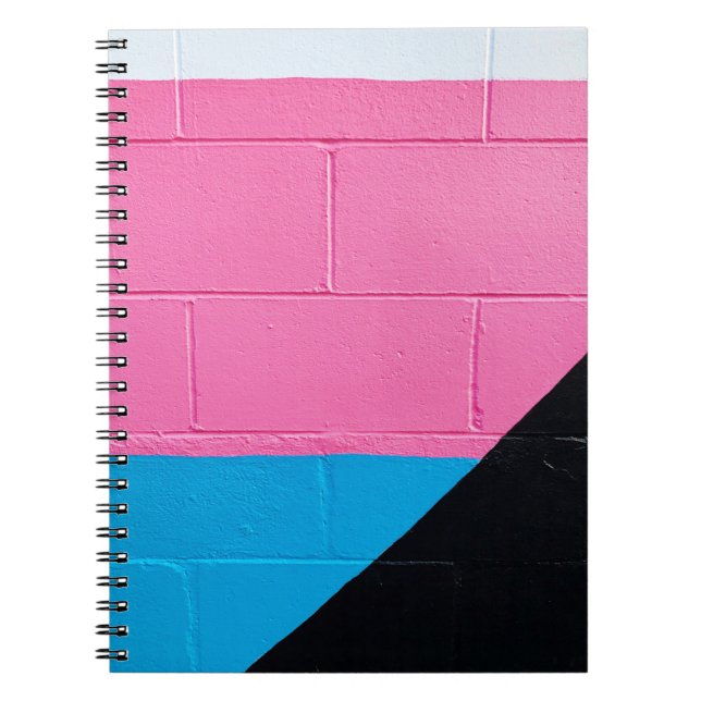 Carnet Mur peint rose et bleu (Devant)