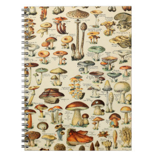 Carnet Mushroom Collection