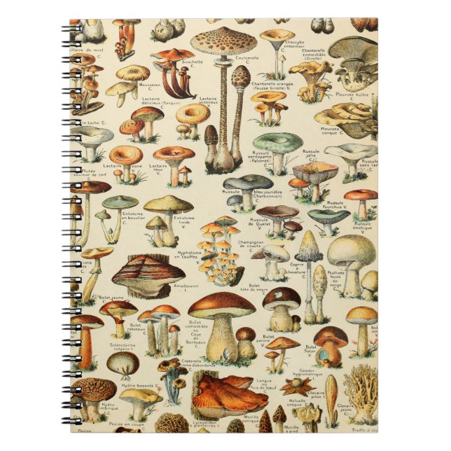 Carnet Mushroom Collection (Devant)