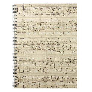 Carnet Musique de feuille sur le parchemin manuscrit en