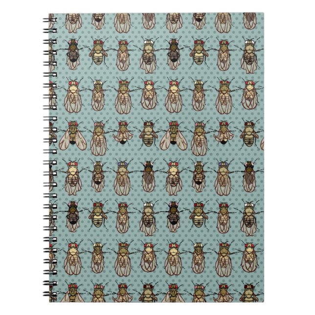 Carnet Mutants de drosophile (Devant)