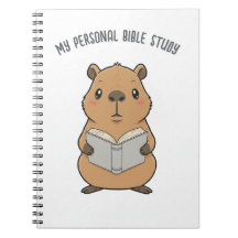 My personal Bible study