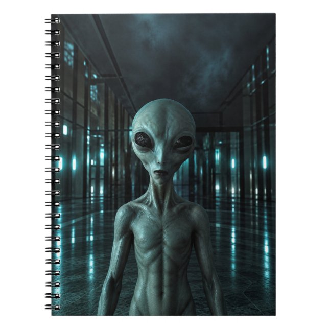 Carnet Mysterious Grey Alien (Devant)