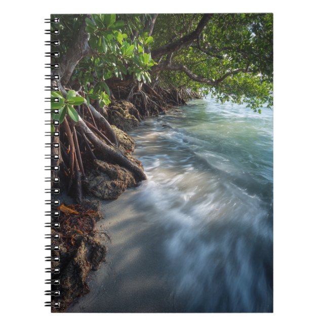 Carnet Mystical Mangrove Shoreline Ocean Scene (Devant)