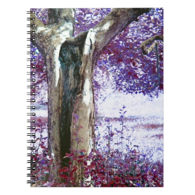 Carnet Mystical tree (Devant)