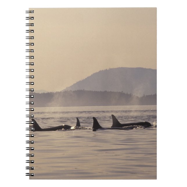 Carnet N.A., États-Unis, Washington, Îles San Juan Orque (Devant)