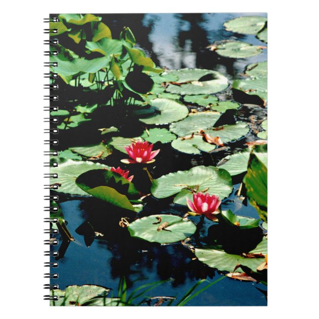Carnet Nappes D'Eau (Devant)