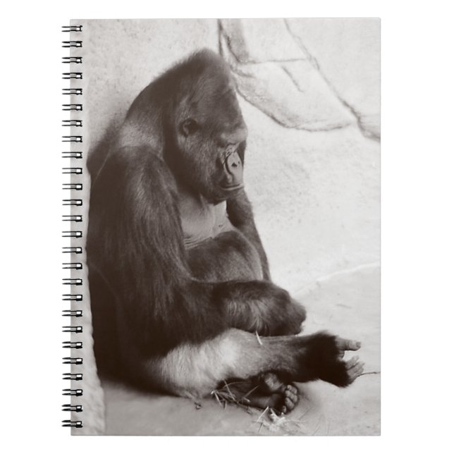 Carnet Napping Gorilla Photo (Devant)