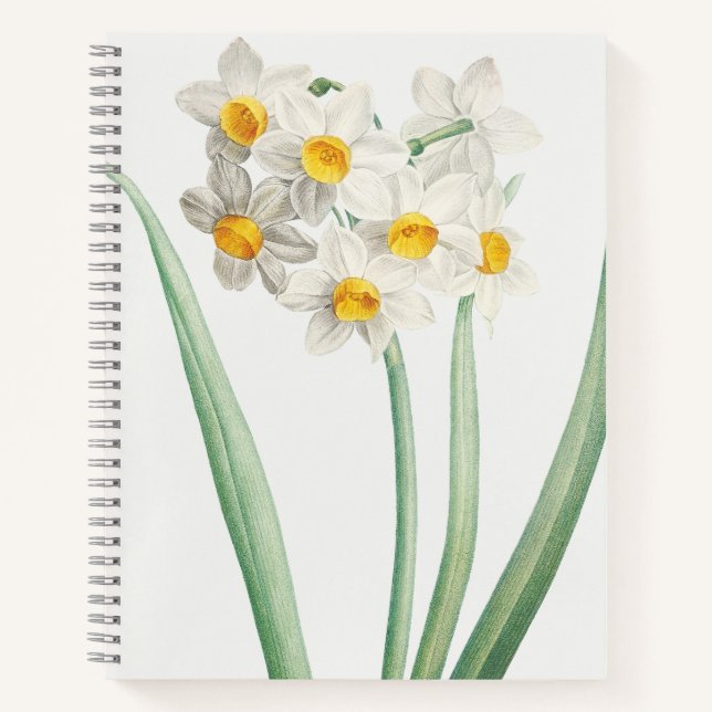 Carnet Narcisse, Pierre-Joseph Redouté, 1805 (Devant)