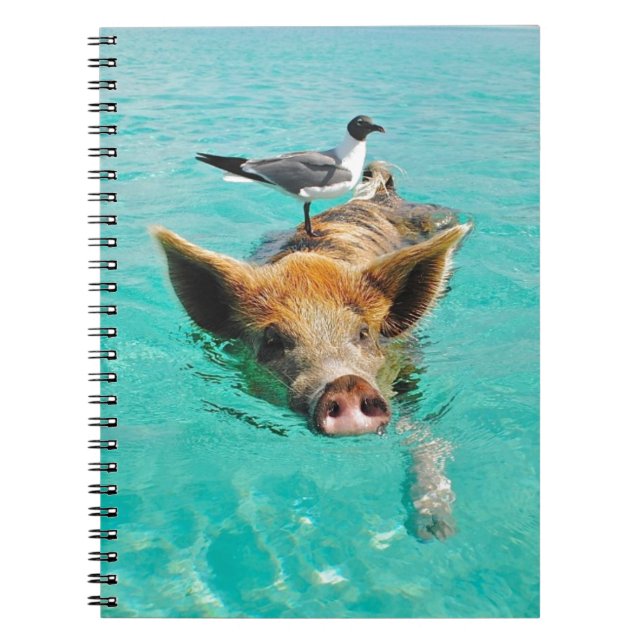 Carnet Natation mignonne de porc dans l'eau (Devant)