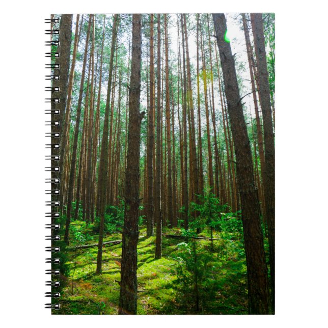 Carnet Nature Paysage Paysage Forêt Arbres Biélorussie (Devant)