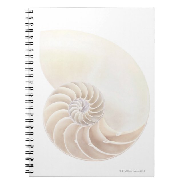 Carnet Nautilus Shell (Devant)