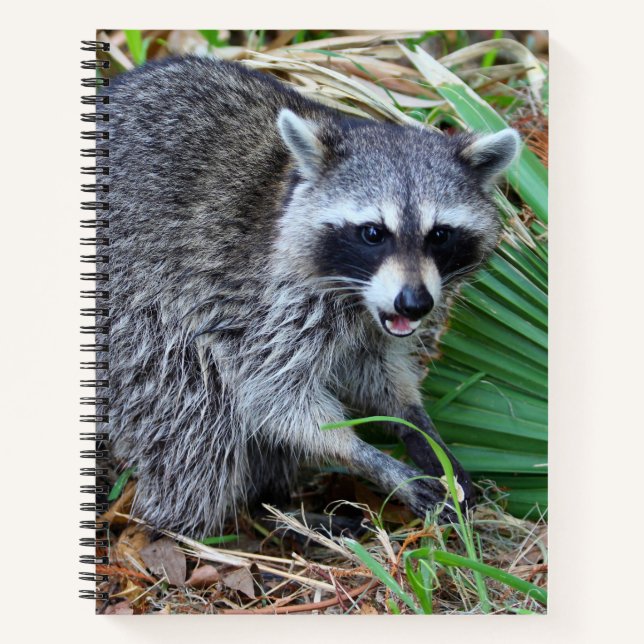 Carnet Ne me dérangez pas, je passe juste par là (Devant)
