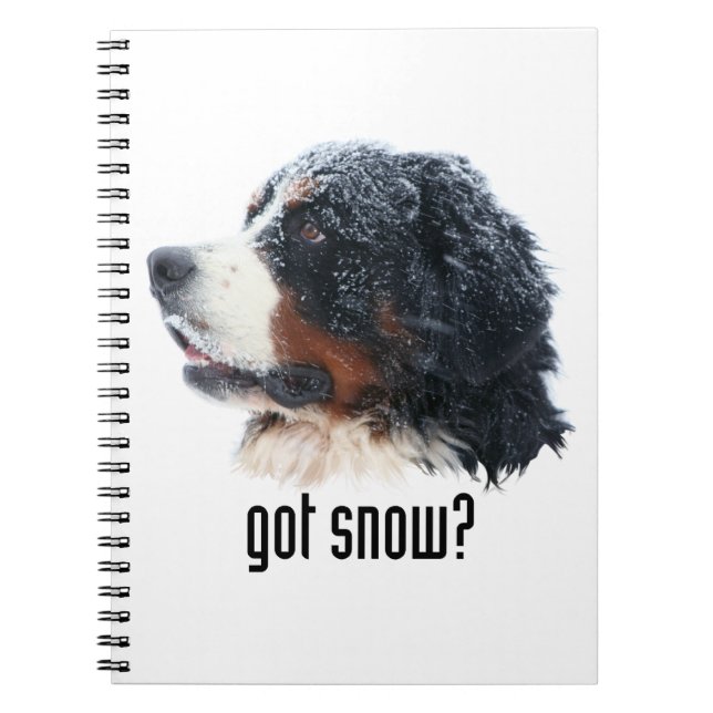 Carnet neige obtenue ? Chien de montagne de Bernese (Devant)