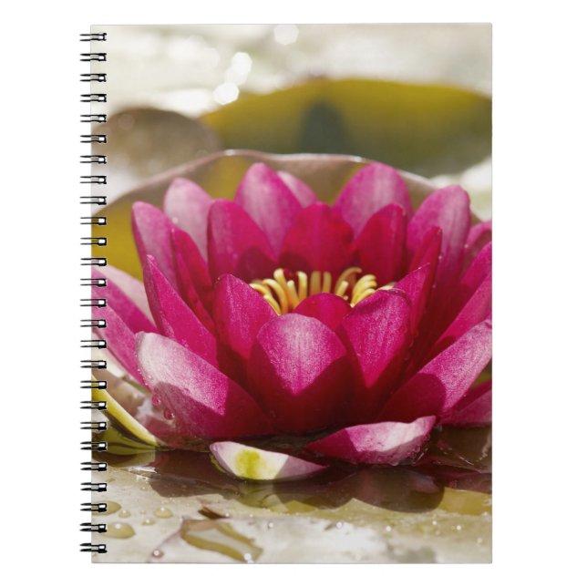 Carnet Nénuphar (Devant)
