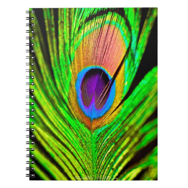 Carnet Neon Colors Peacock Feather (Devant)