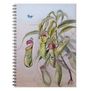 Carnet Nepenthes Plant Drawings, Anniversary