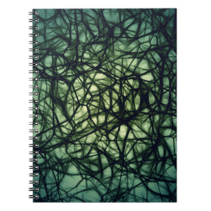 Carnet Neurones