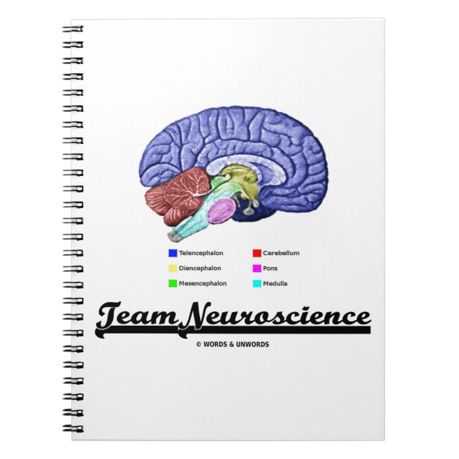 Carnet Neuroscience d'équipe (Attitude d'anatomie cérébra (Devant)