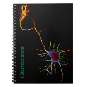 Carnet Neuroscience, neuron, science