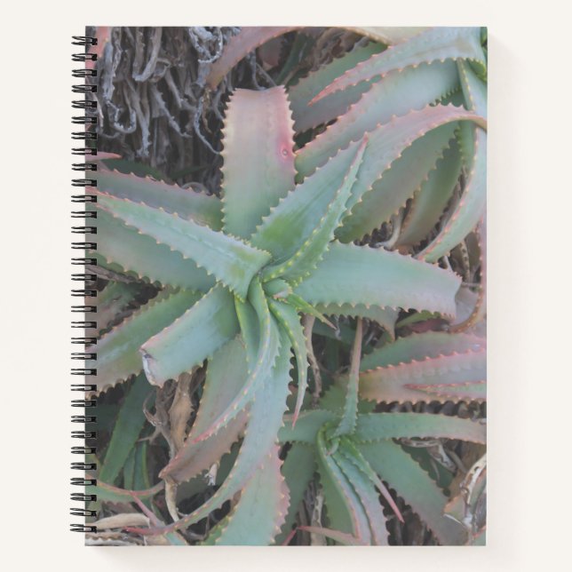 Carnet Nevada succulents (Devant)